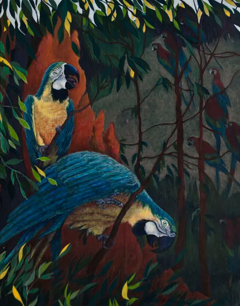 Macaws